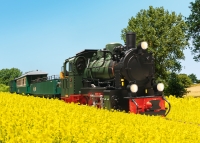 LGB Art. Nr. 28006 - Dampflok 53 Mh Rgensche Bderbahn